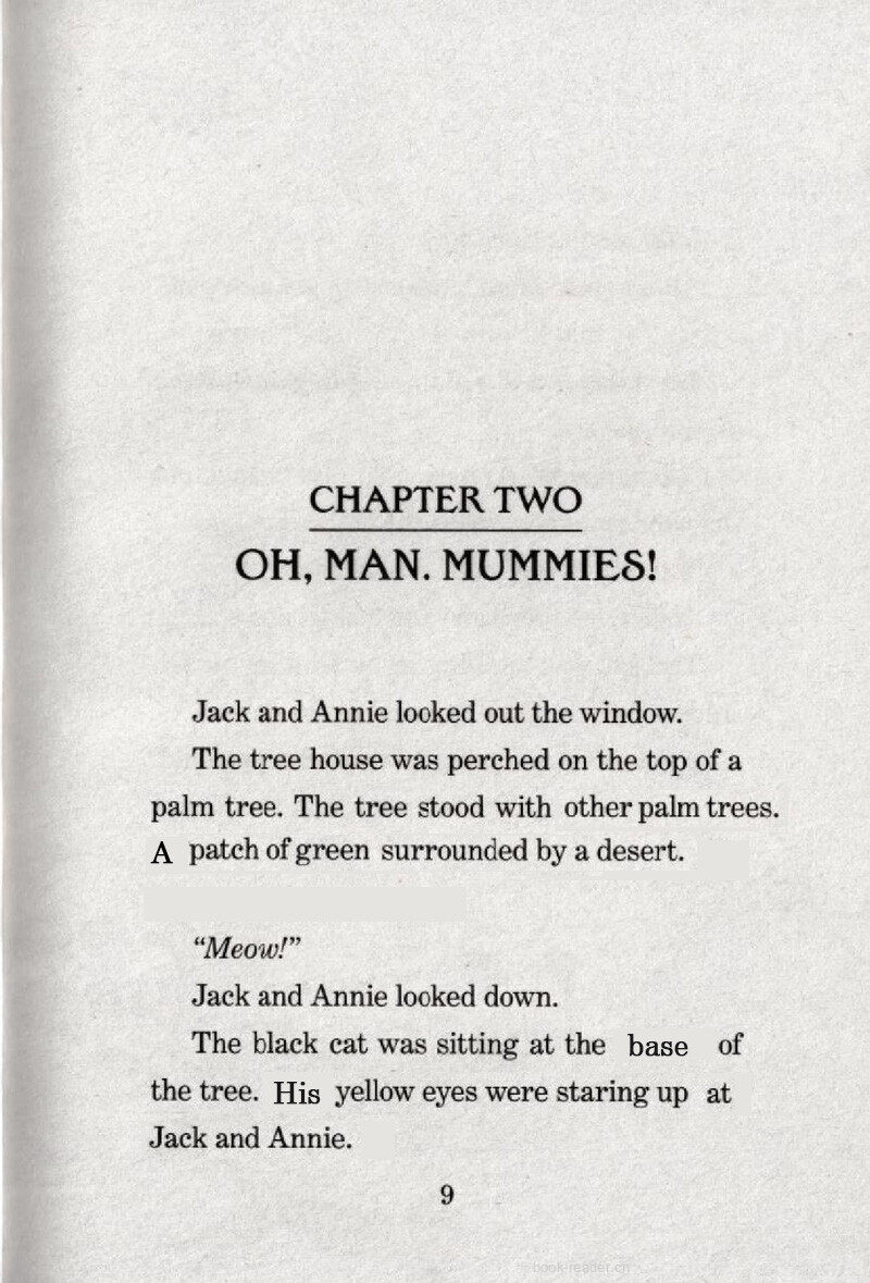 02 Oh,Man,Mummies!绘本故事第2页