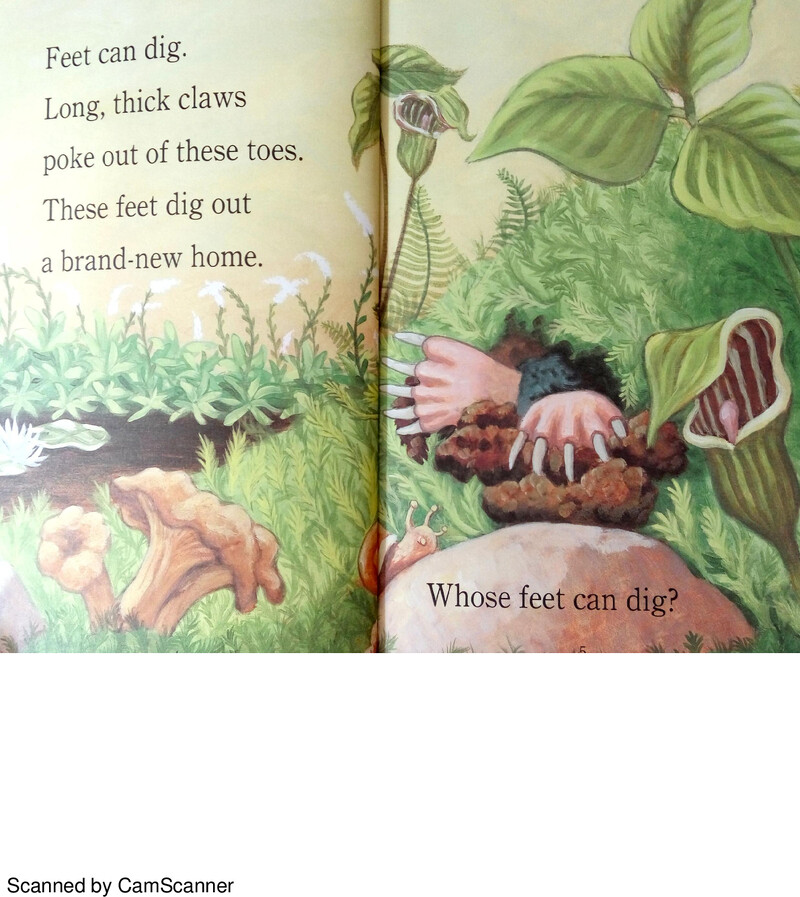 Whose Feet绘本故事第3页