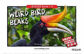 Weird Bird Beaks