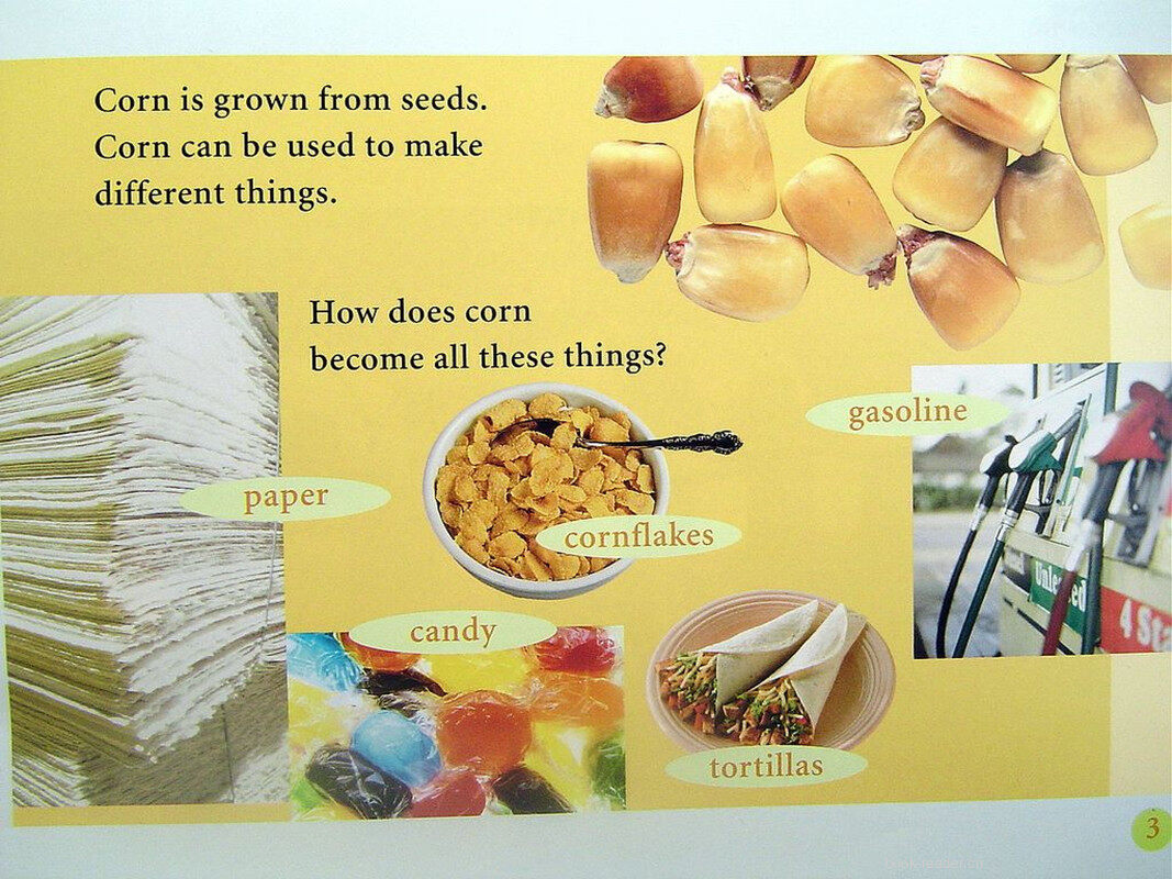 corn绘本故事第4页