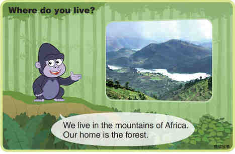 Mountain Gorilla绘本故事第4页