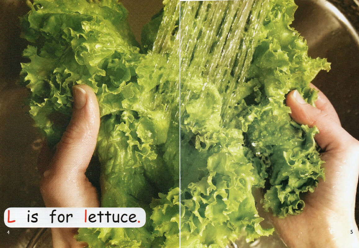 make a salad绘本故事第4页