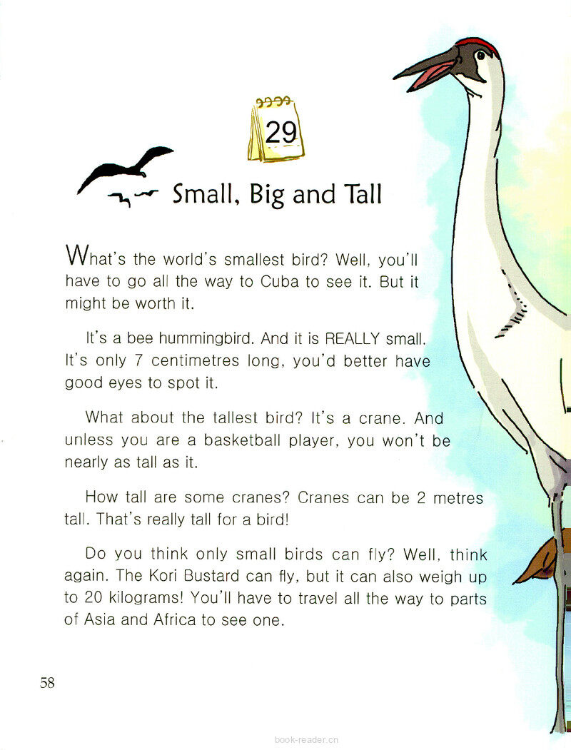 Small, Big and Tall绘本故事第2页