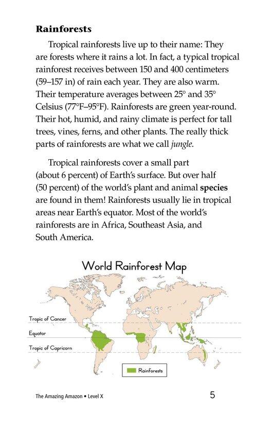 The Amazing Amazon绘本故事第4页