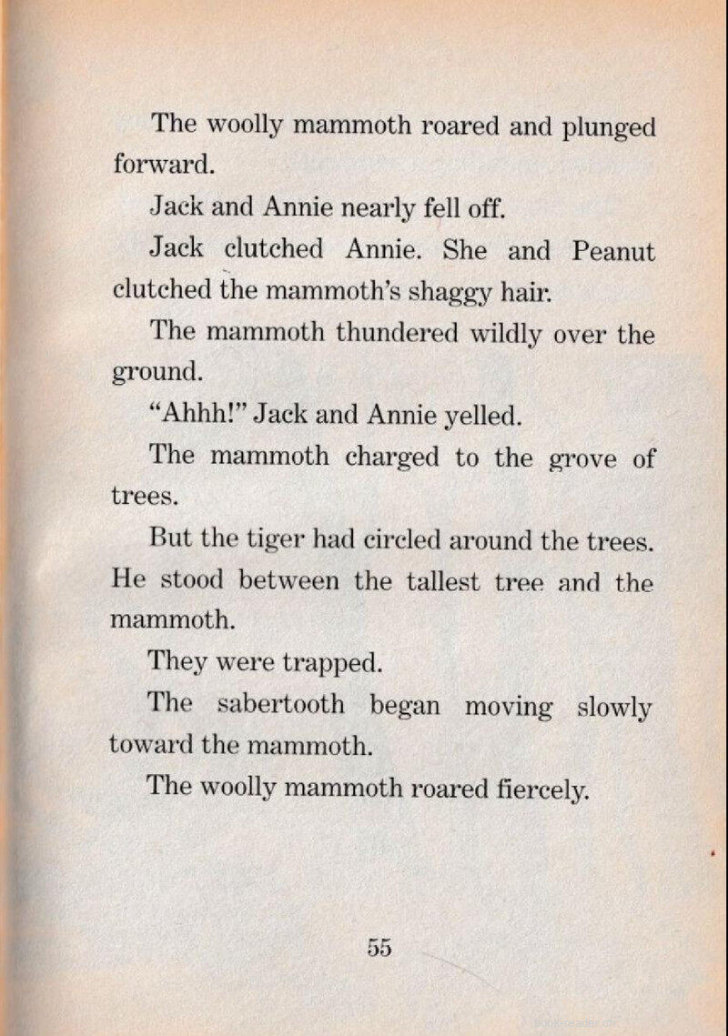 08 The Great Parade绘本故事第4页