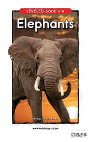 Elephants