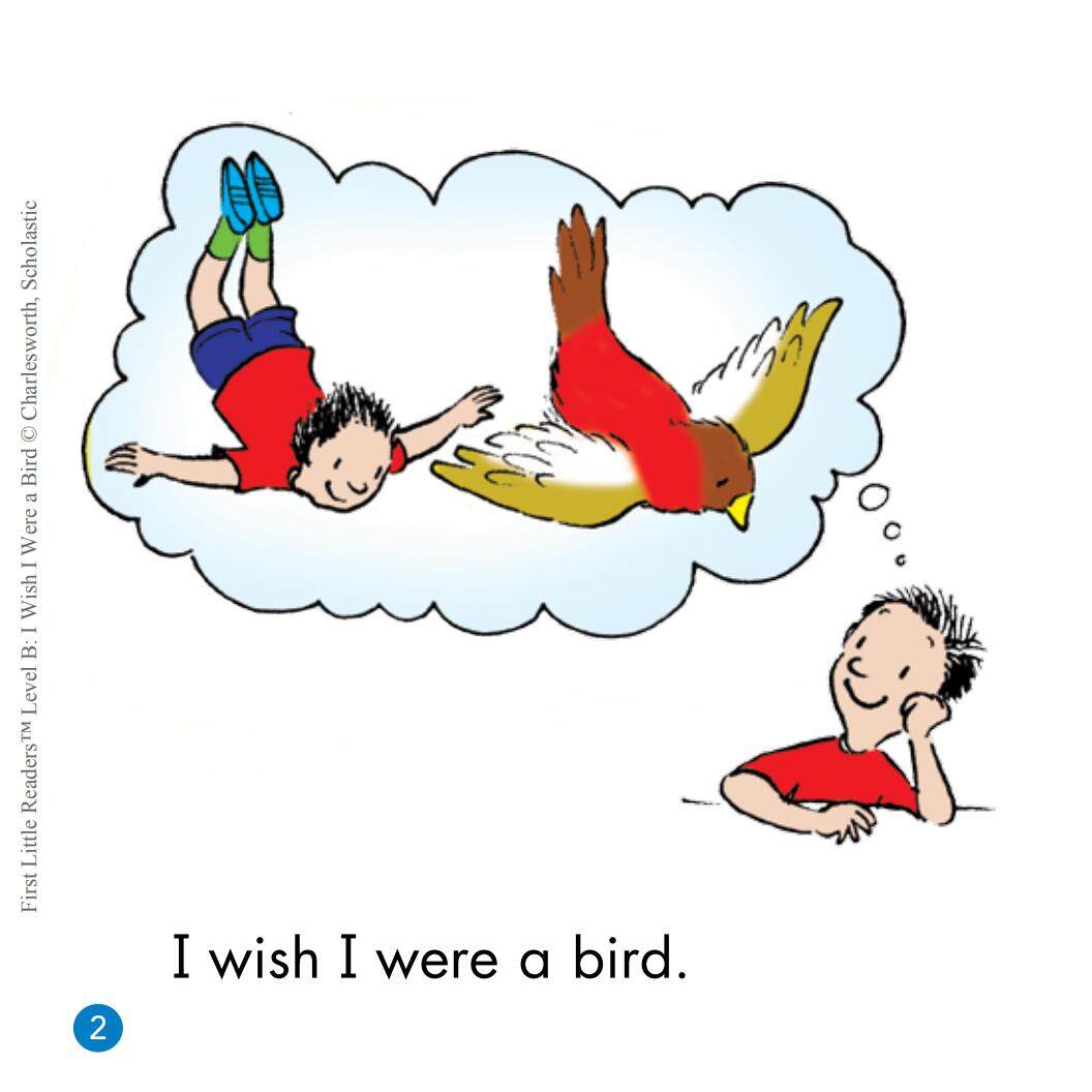 I Wish I Were a Bird绘本故事第3页