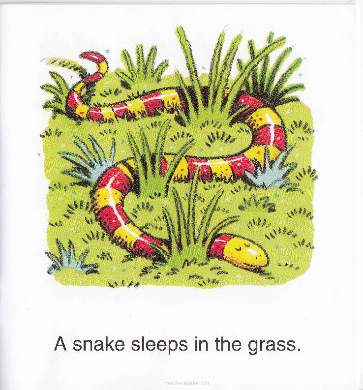 Sleeping Animals绘本故事第4页