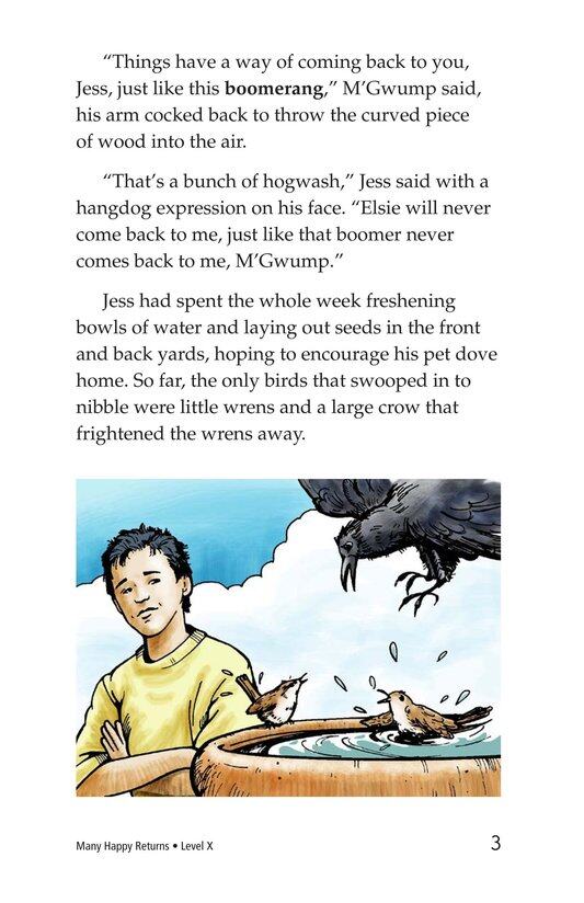 Many Happy Returns绘本故事第3页