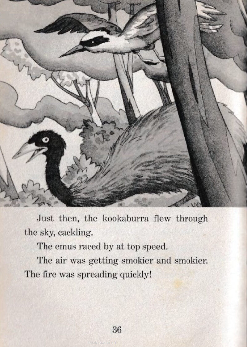 05 Wildfire!绘本故事第3页