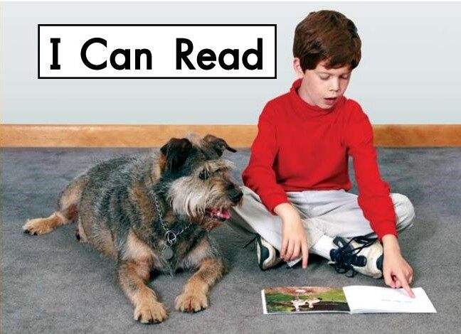 I can read绘本故事第2页