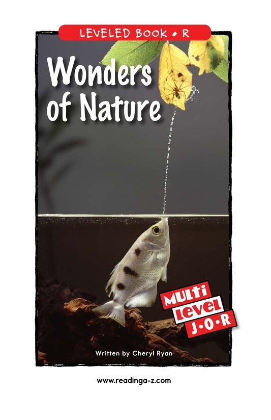 Wonders of Nature绘本故事第2页