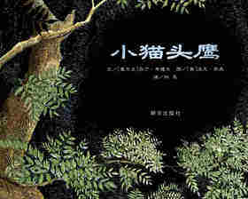 小猫头鹰绘本故事第1页