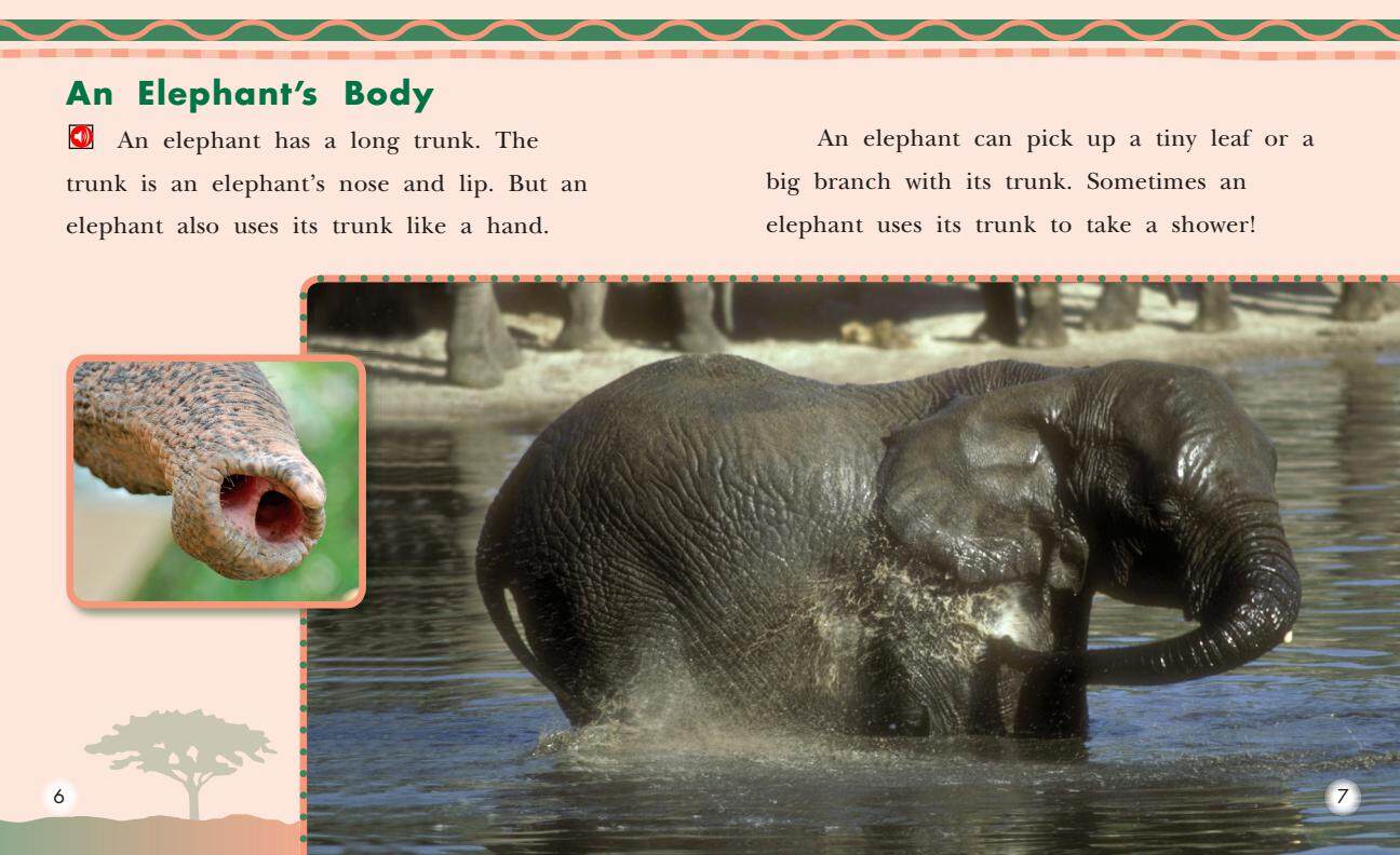 All About African Elephants绘本故事第5页