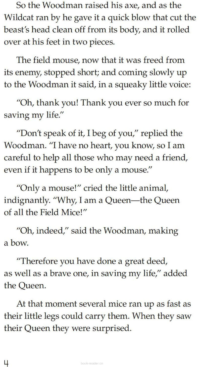 The Wonderful Wizard of Oz (Part 5)绘本故事第5页