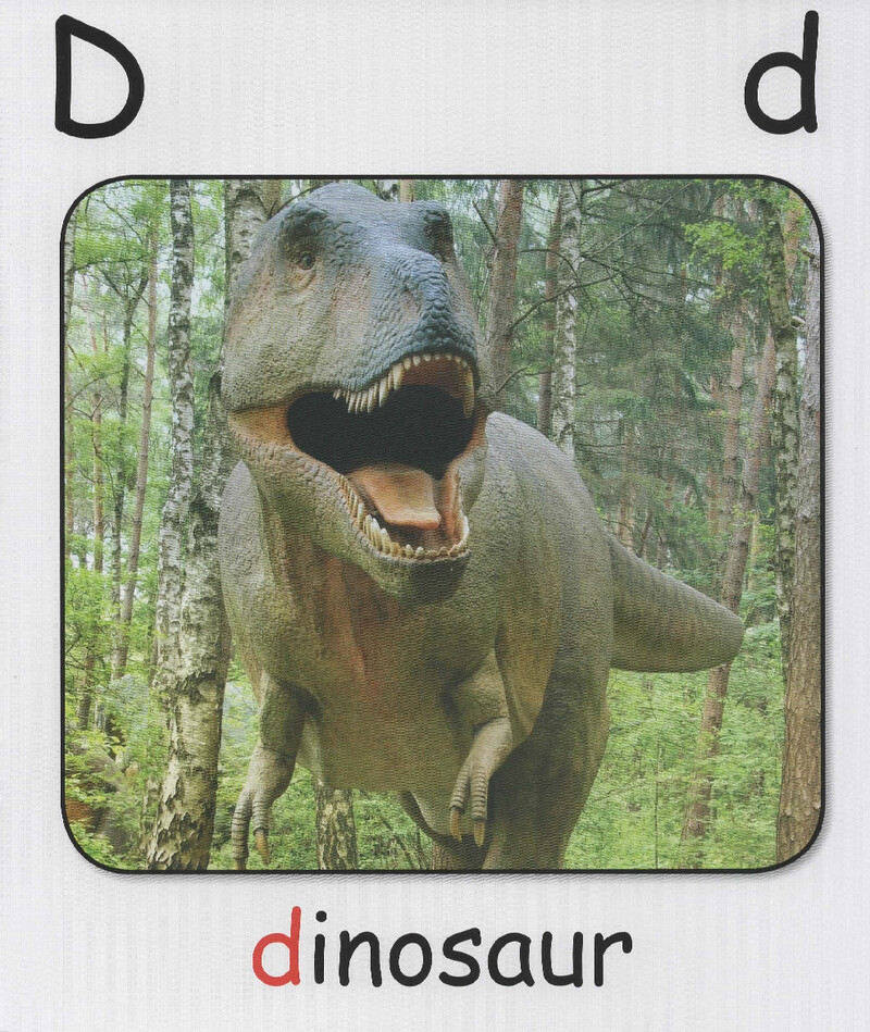 D绘本故事第3页