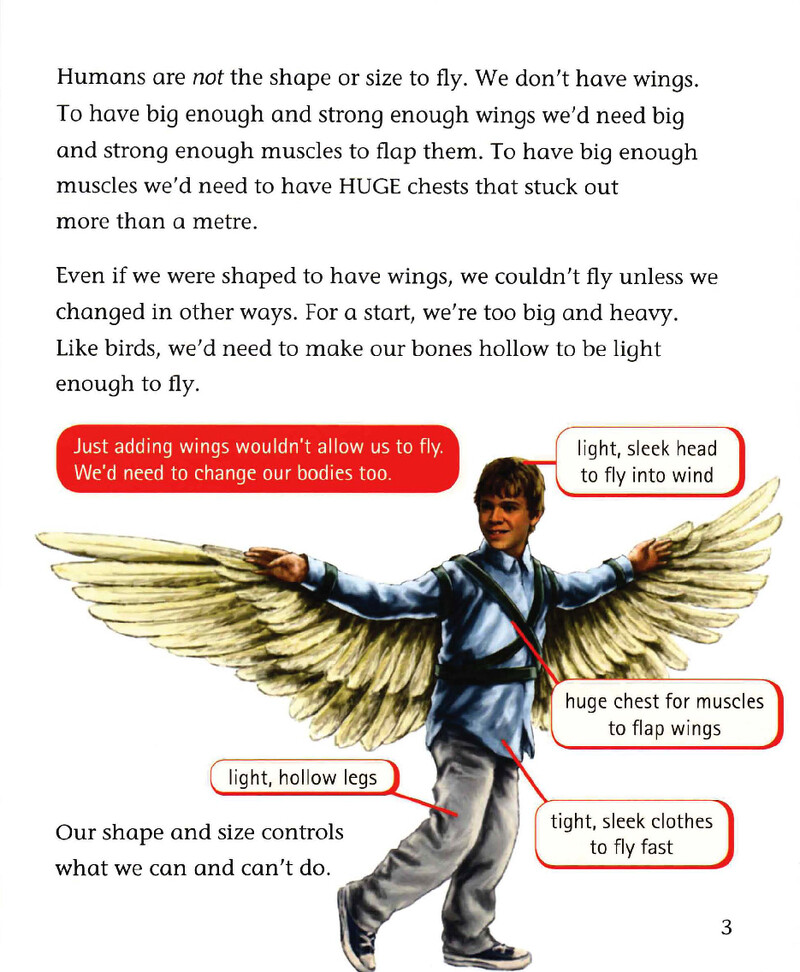 Why Can't Humans Fly绘本故事第4页