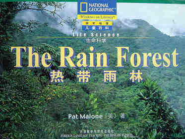 the rain forest