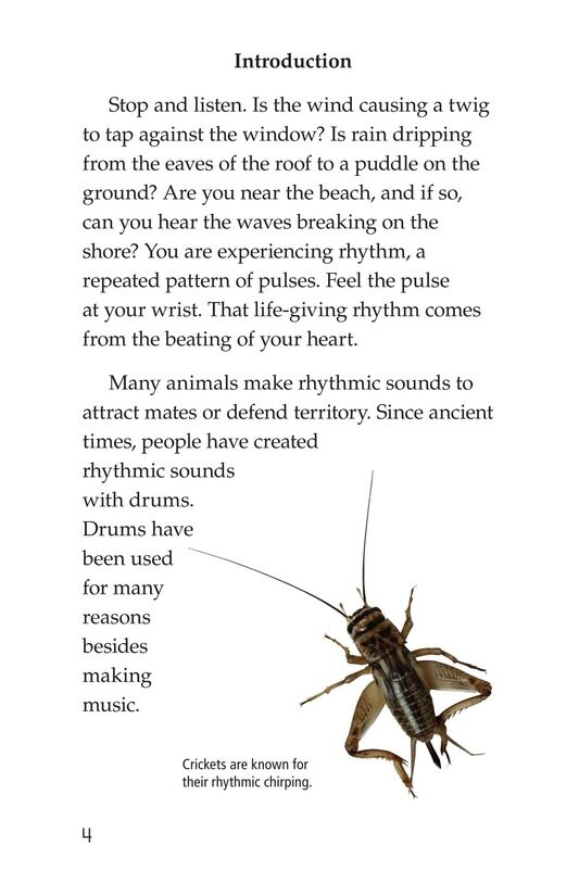 Drums and Drumming绘本故事第3页