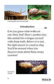 The Secret Lives of Snails and Slugs绘本故事第3页