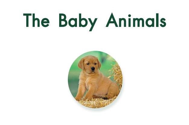 The baby animals绘本故事第2页