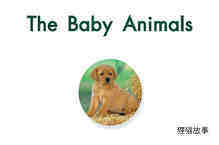 The baby animals绘本故事第2页