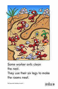 The Queen Ant's Birthday绘本故事第5页