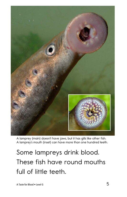 A Taste for Blood绘本故事第5页