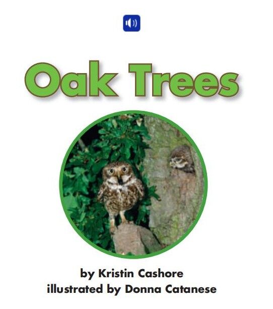 Oak Trees绘本故事第2页