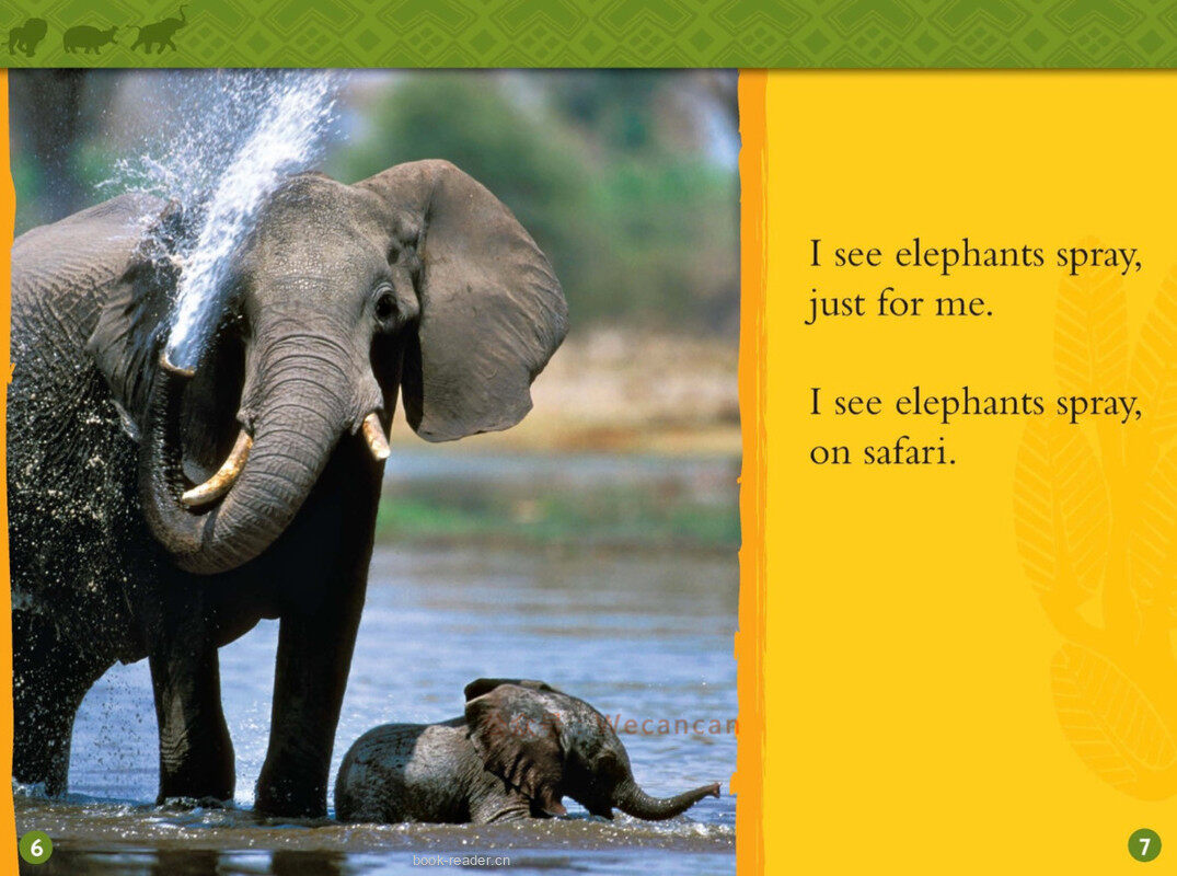 Safari绘本故事第5页