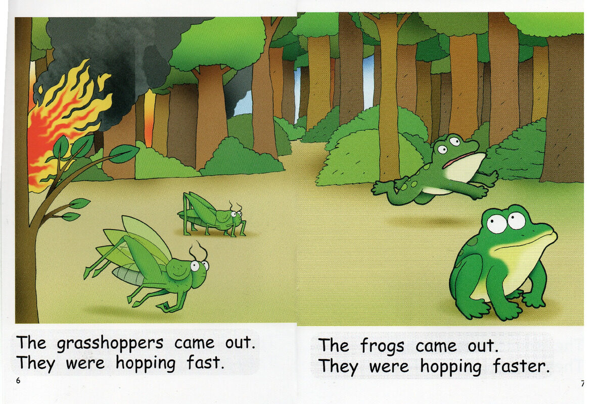 a forest fire绘本故事第5页