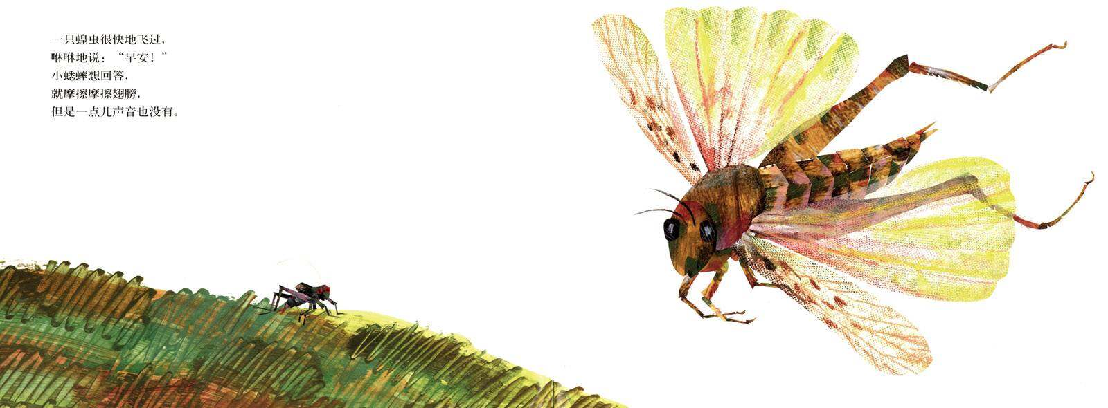 好安静的蟋蟀绘本故事第3页