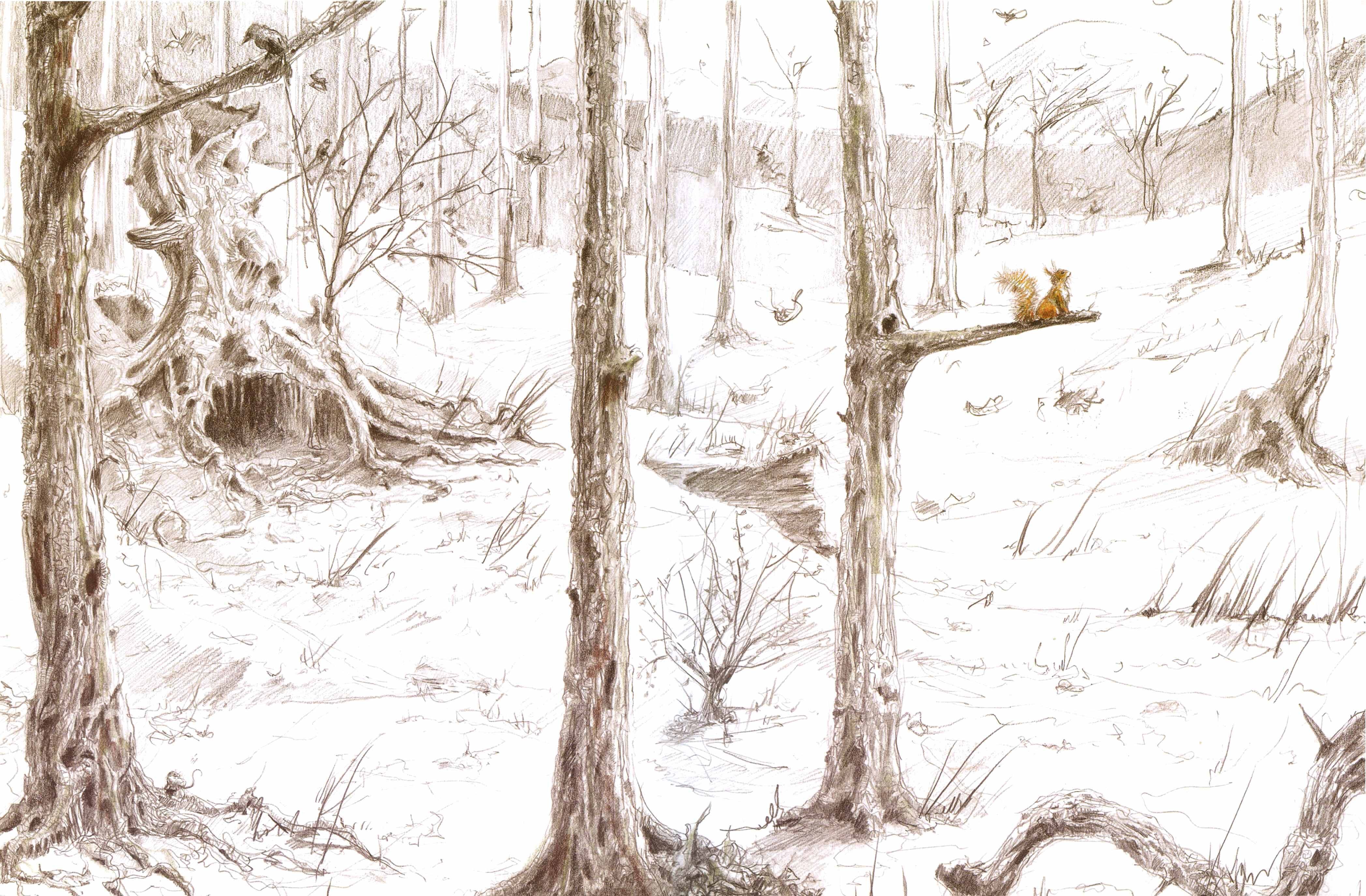 松鼠先生和第一场雪绘本故事第4页