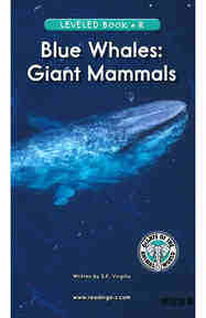 Blue Whales Giant Mammals