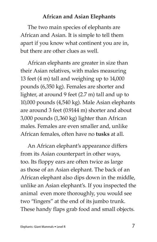 Elephants Giant Mammals绘本故事第5页