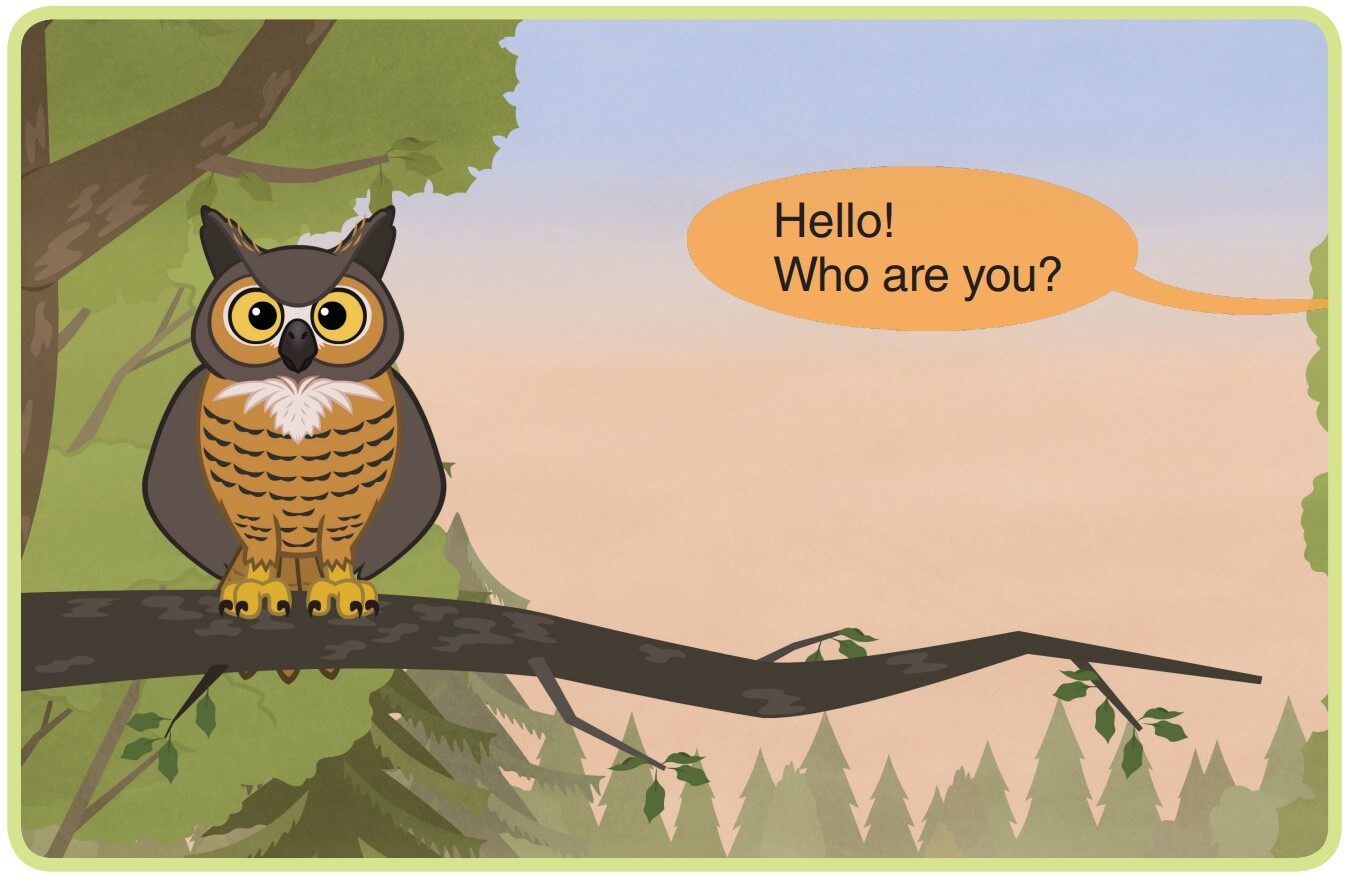 Great Horned Owl绘本故事第2页