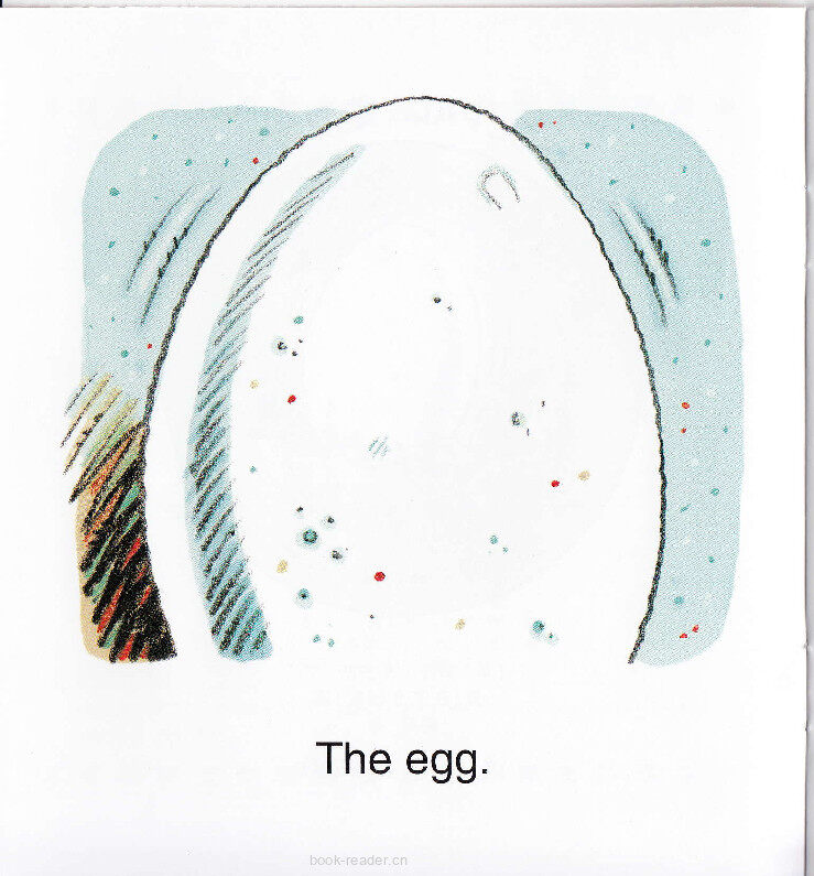 Egg Legs绘本故事第3页