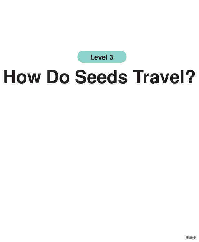 How Do Seeds Travel?