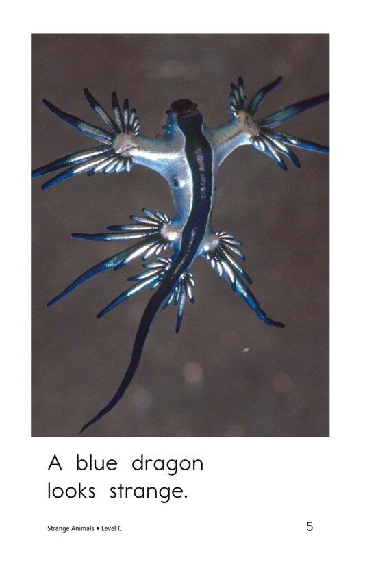 Strange Animals绘本故事第5页