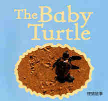 The BABY Turtle绘本故事第2页
