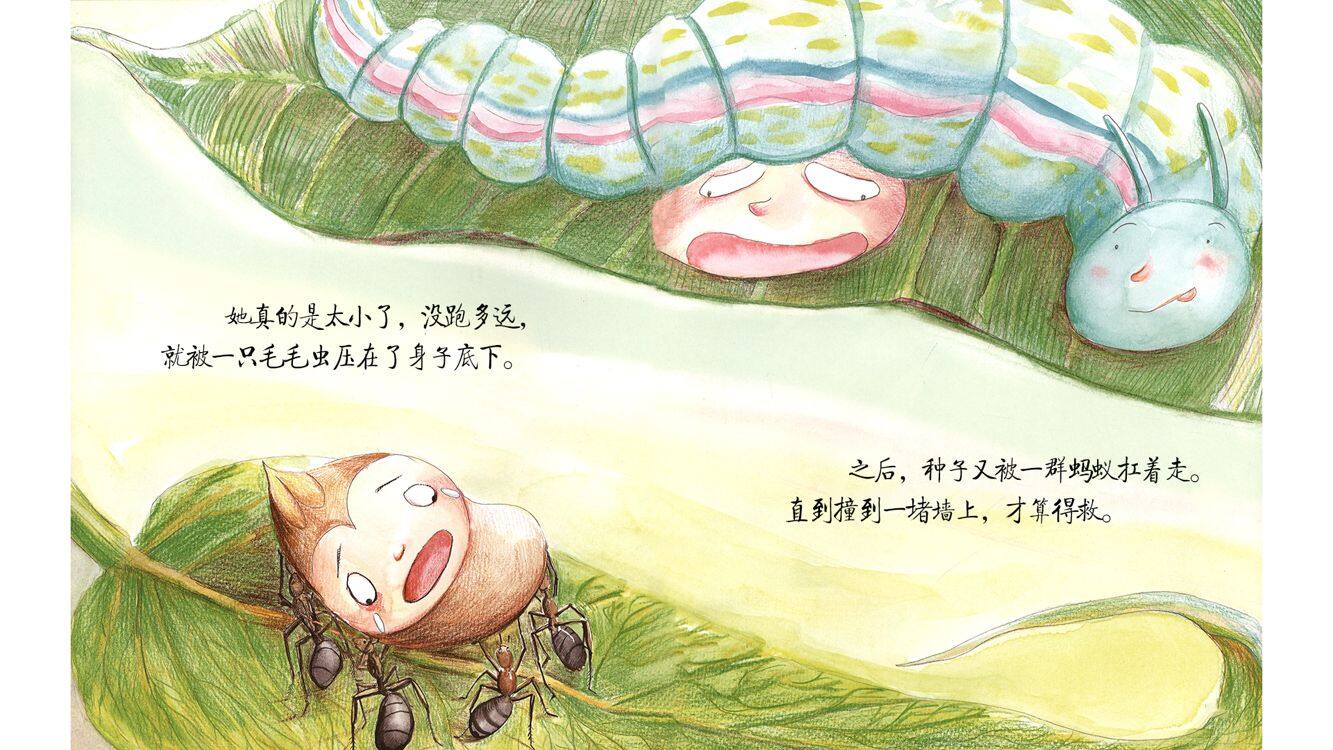 从小有自信绘本故事第5页