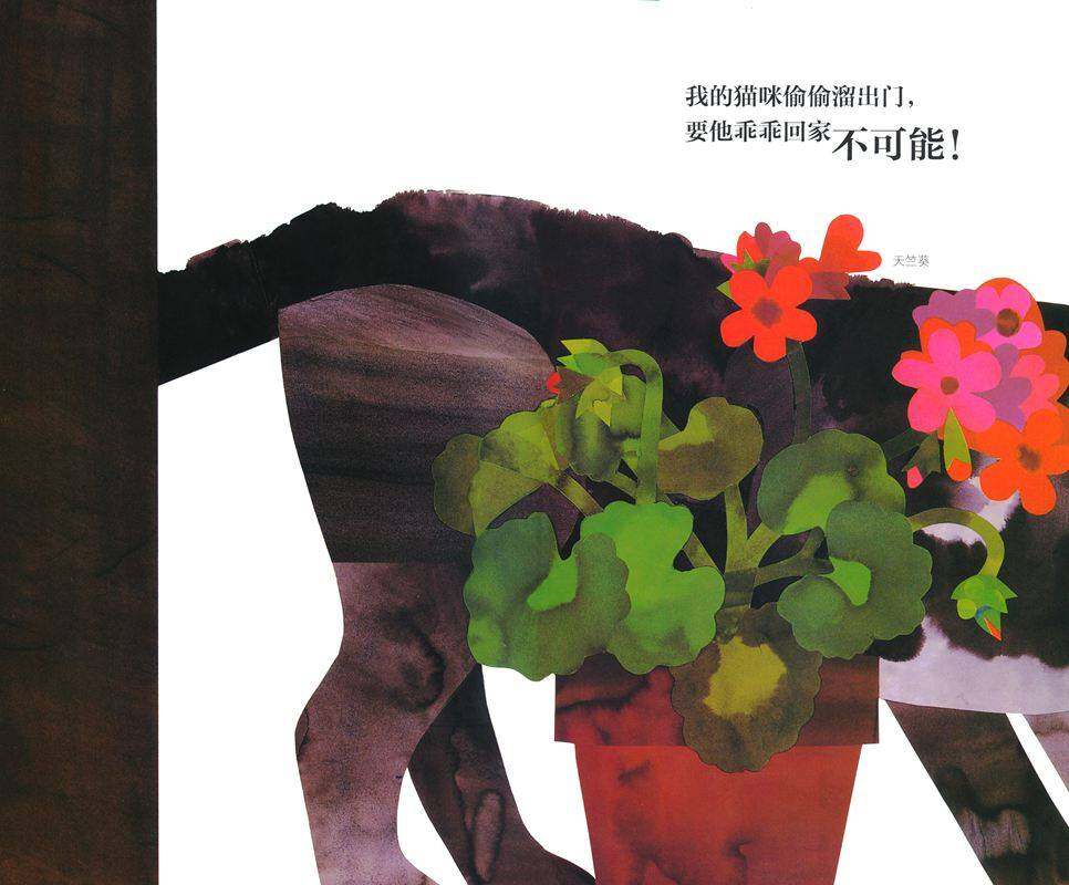 猫咪午餐吃什么绘本故事第3页