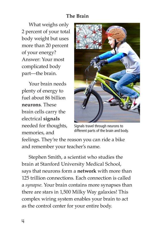 The Amazing Brain绘本故事第3页