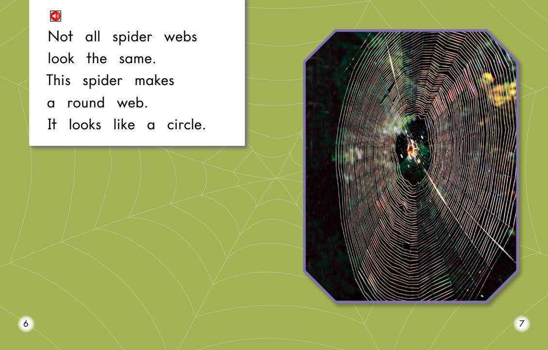 All About Spiders绘本故事第5页