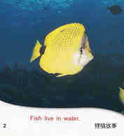 Fish facts绘本故事第3页