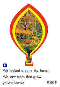 The Forest绘本故事第5页