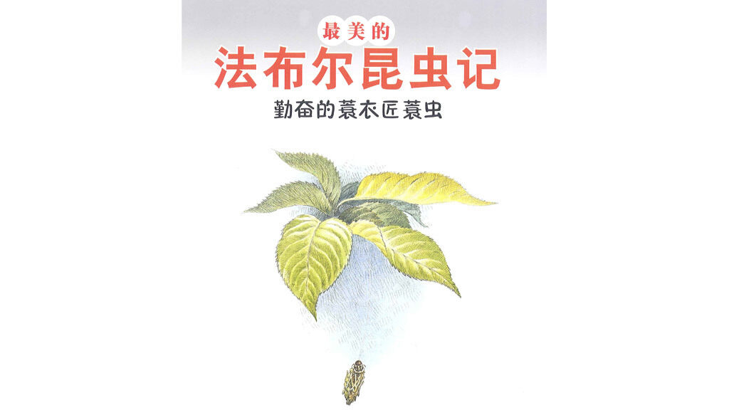 勤奋的蓑衣匠蓑虫绘本故事第2页