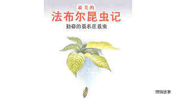 勤奋的蓑衣匠蓑虫绘本故事第2页