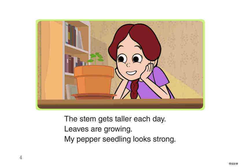 Growing Bell Peppers绘本故事第5页