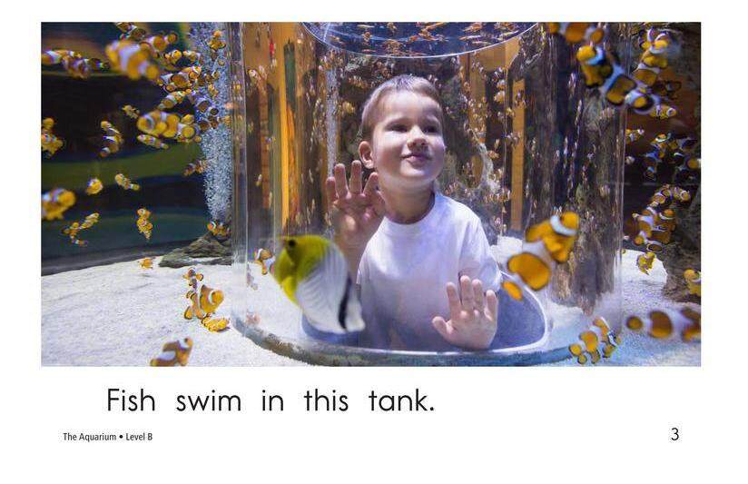 The Aquarium绘本故事第3页